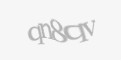 FORM_CAPTCHA