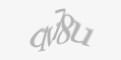FORM_CAPTCHA