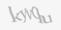 FORM_CAPTCHA