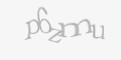 FORM_CAPTCHA