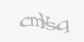 FORM_CAPTCHA