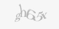 FORM_CAPTCHA