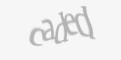 FORM_CAPTCHA