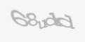 FORM_CAPTCHA
