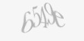 FORM_CAPTCHA
