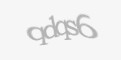 FORM_CAPTCHA