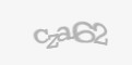 FORM_CAPTCHA
