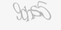 FORM_CAPTCHA