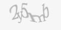 FORM_CAPTCHA