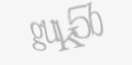 FORM_CAPTCHA