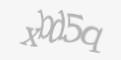 FORM_CAPTCHA