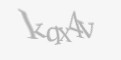 FORM_CAPTCHA