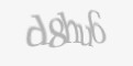 FORM_CAPTCHA