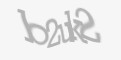 FORM_CAPTCHA