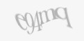FORM_CAPTCHA
