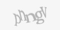 FORM_CAPTCHA