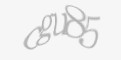 FORM_CAPTCHA