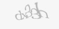 FORM_CAPTCHA